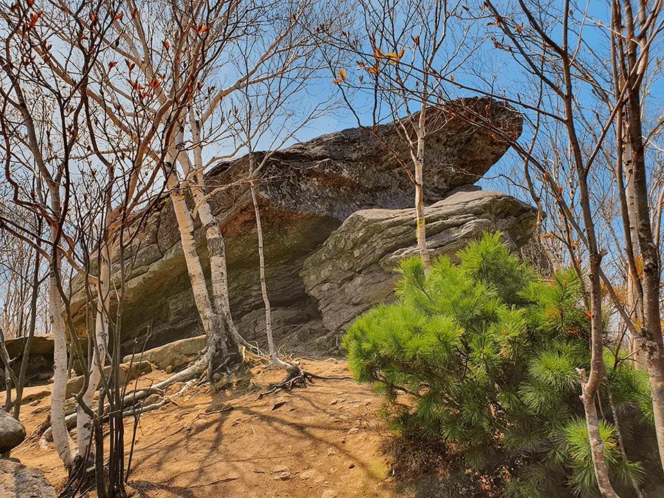 Что посмотреть на Сахалине